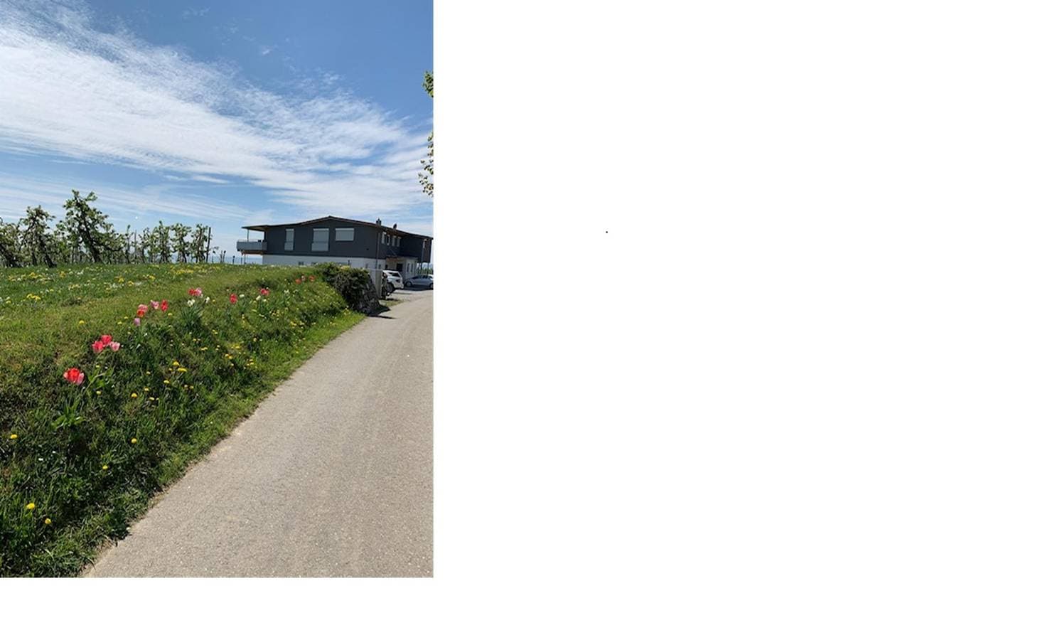Foto 4 von 13: Ferienhof Raither - Ferienwohnung 3 mit Alpenblick und überdachter Terrasse