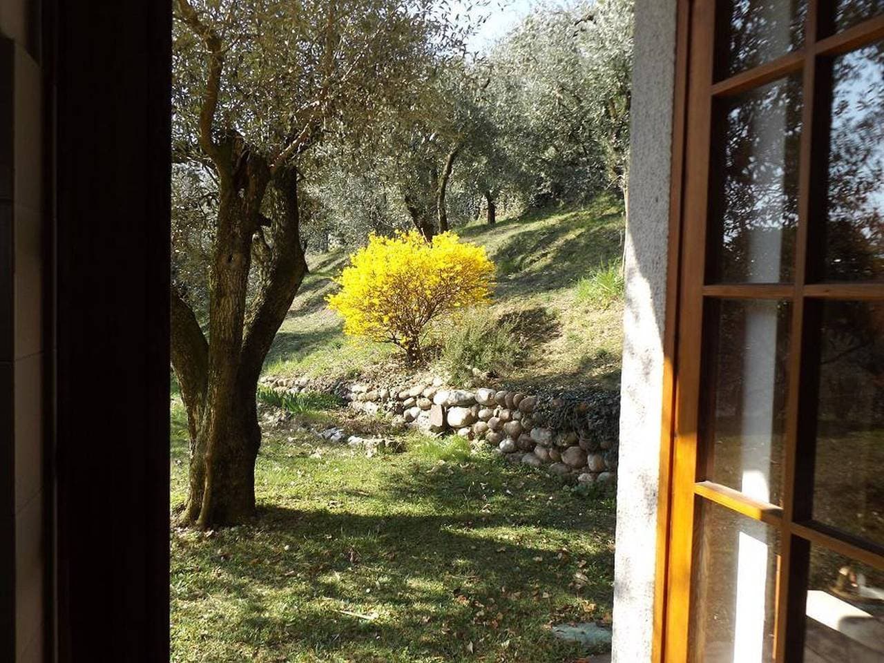 Foto 6 von 22: Villa Rocca a Marciaga