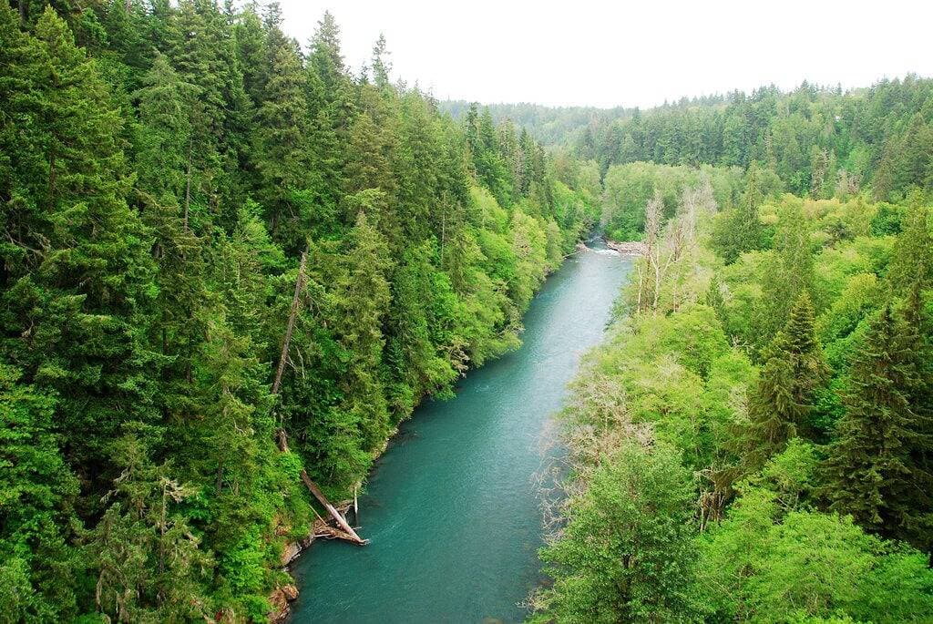 Cosy Custom Studio: Basislager zum Olympic National Park, nach Port Angeles und zum Ozean 1