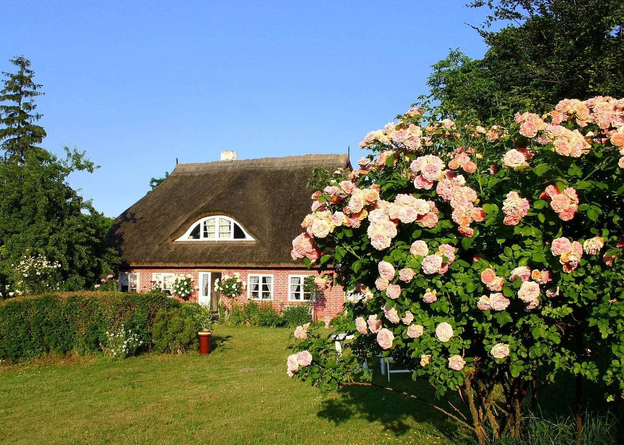 Foto 9 von 14: Im Feriengarten - Ferienwohnung Erdgeschoß