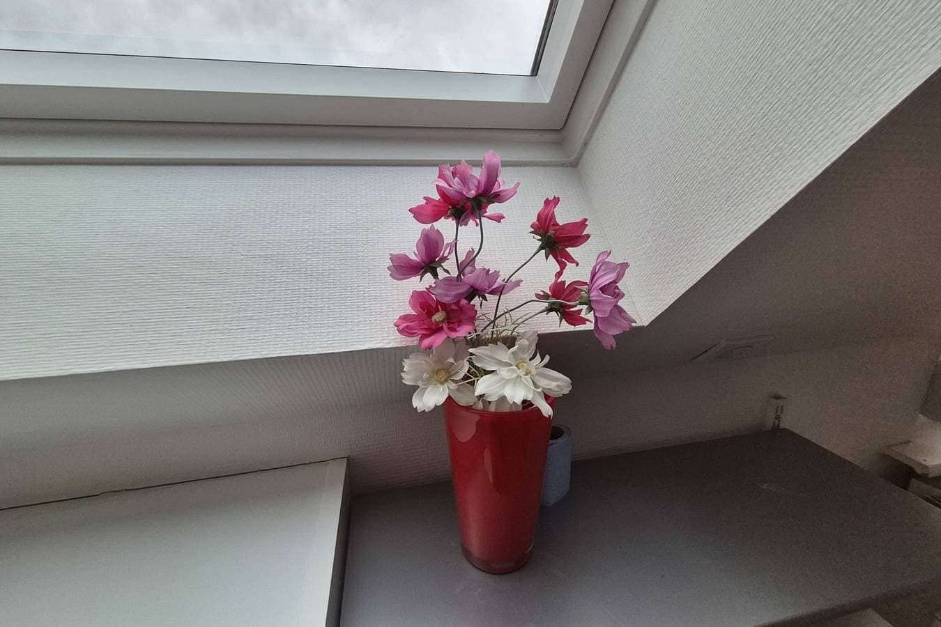 Foto 12 von 28: Ferienwohnung für 4 Personen mit Garten