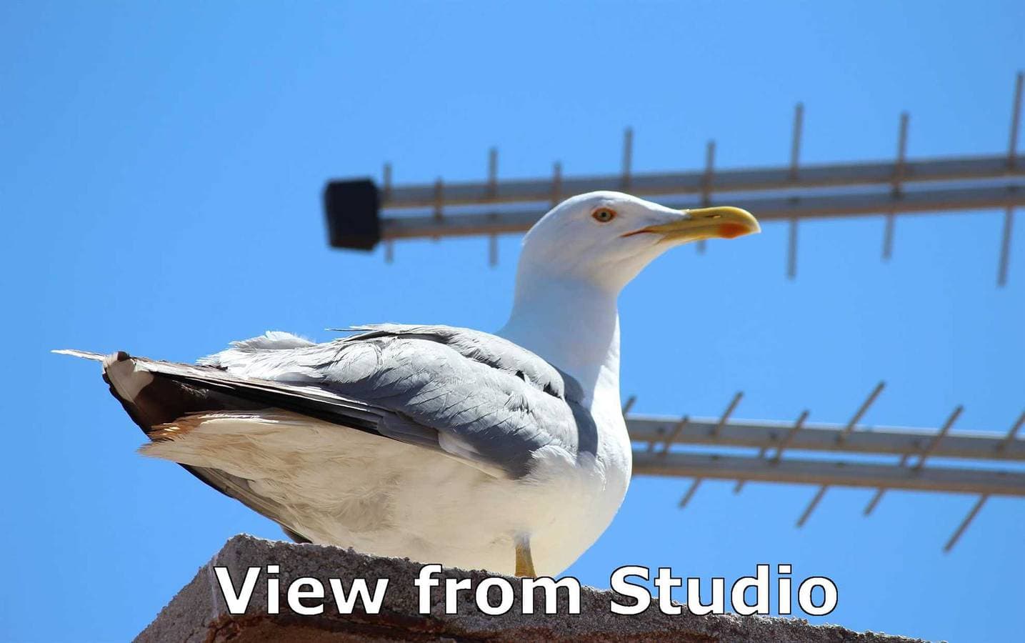 Foto 5 von 24: Milkana Studiowohnung mit Meerblick