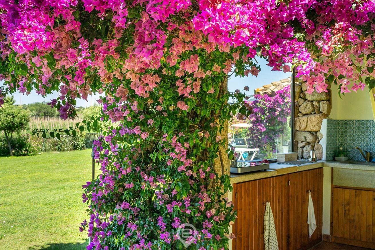 Foto 5 von 92: Ferienhaus für 2 Personen mit Balkon/Terrasse