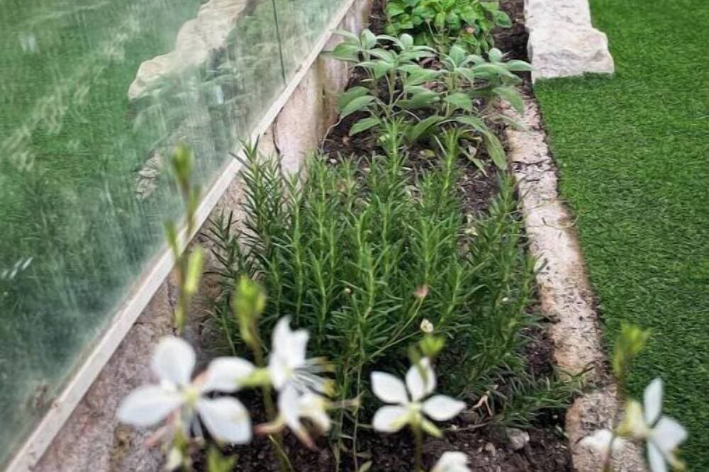 Foto 9 von 17: 2-room open-plan air-conditioned garden view St Paul