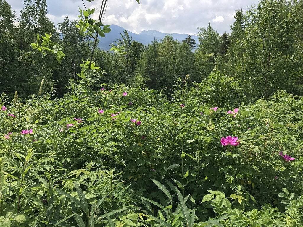 Foto 11 von 27: Wanderer Himmel !!  Komm und genieße.