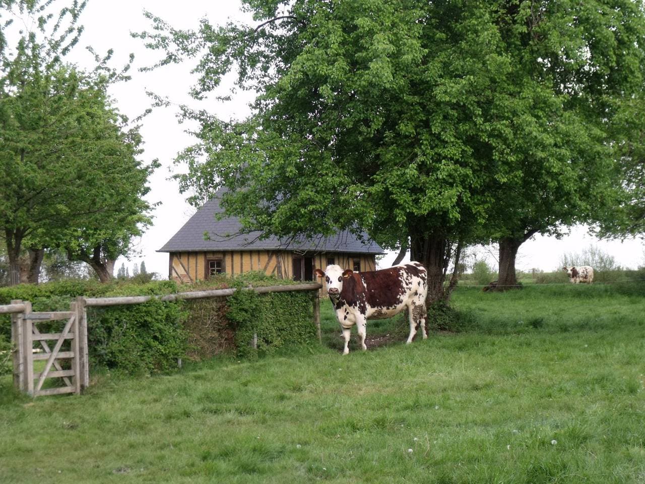 Foto 9 von 15: "La Petite Cauvinière"