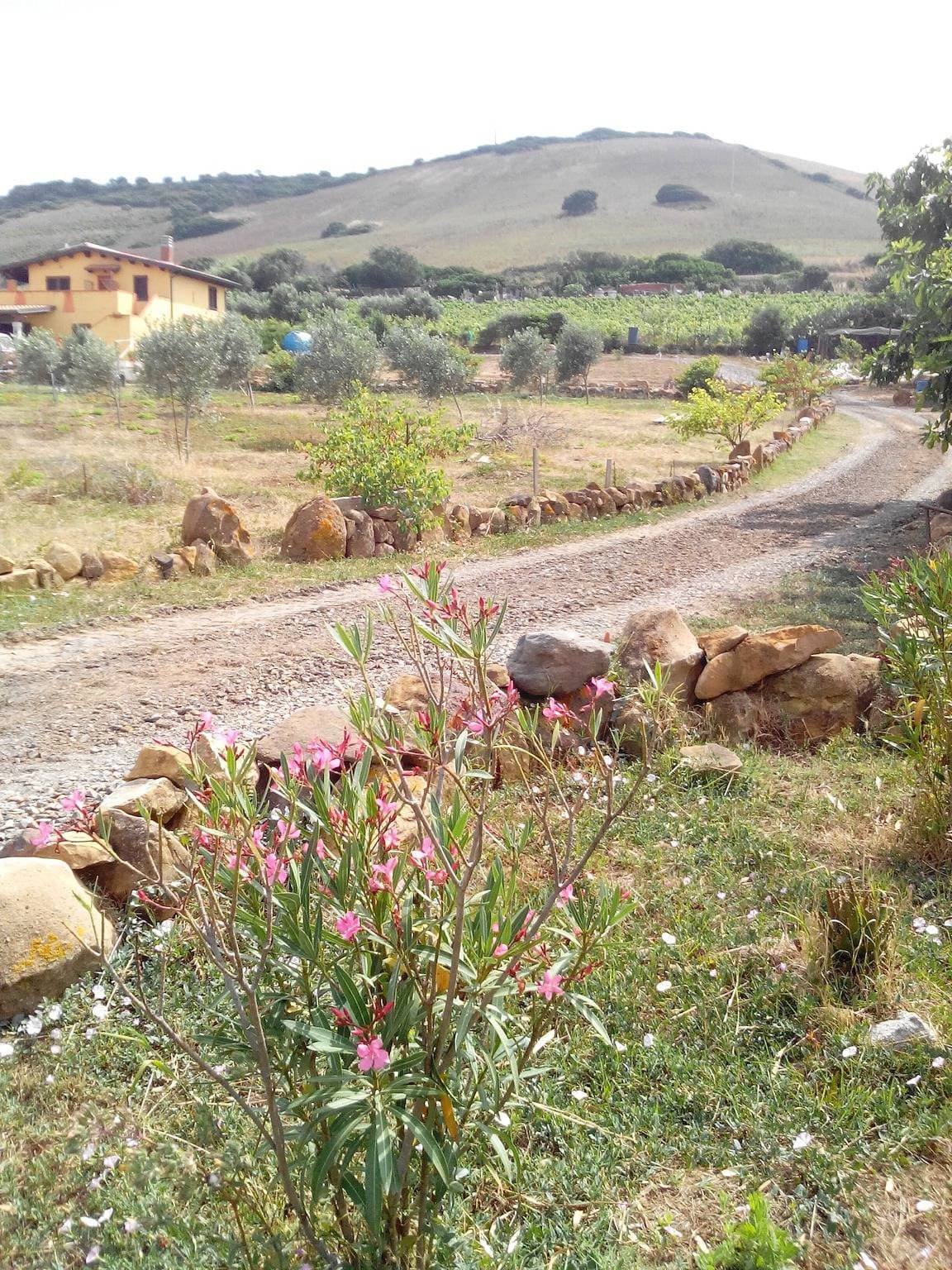 Foto 6 von 43: Landhaus 'Ethnic house & view, Sulcis Relax' mit Bergblick, privater Terrasse & WLAN