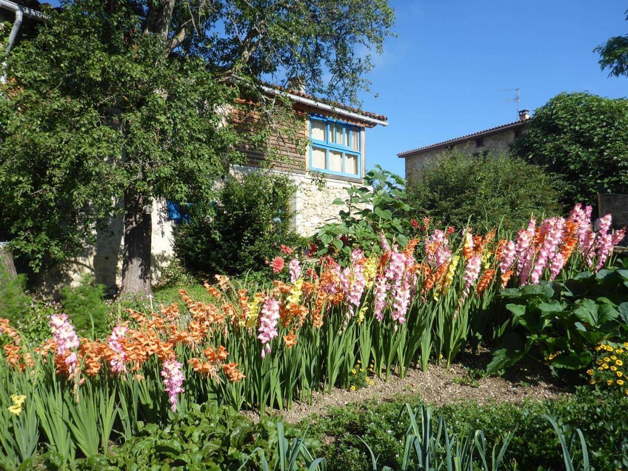 Foto 12 von 20: Holiday Home