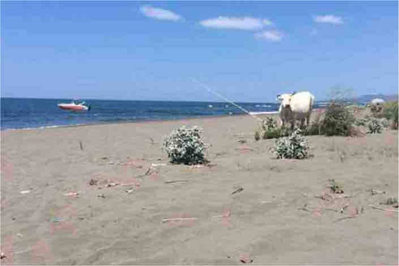 Foto 13 von 30: Charmanter Rajana Bungalow