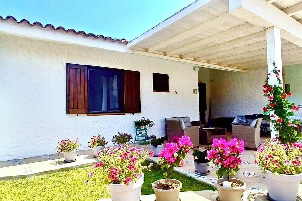 Charming cottage (with private garden) few steps from the beach 1