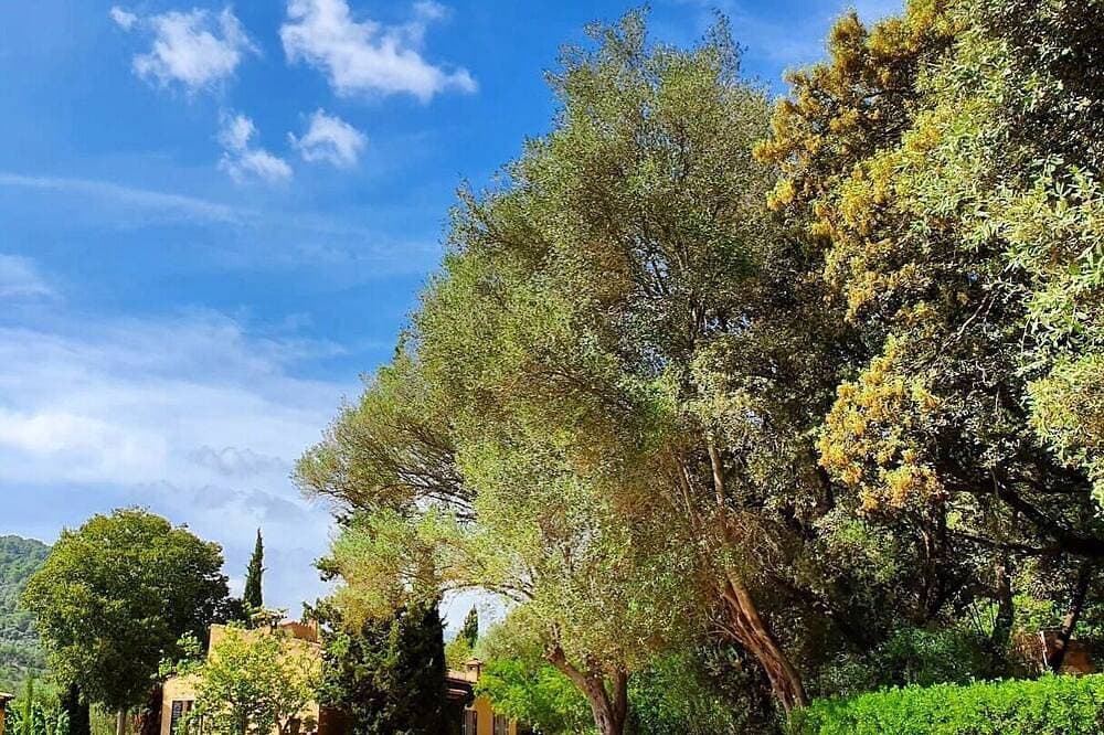 Foto 12 von 30: *Premium Propert * Schöne Finca mit spektakulärer Aussicht und beheiztem Pool