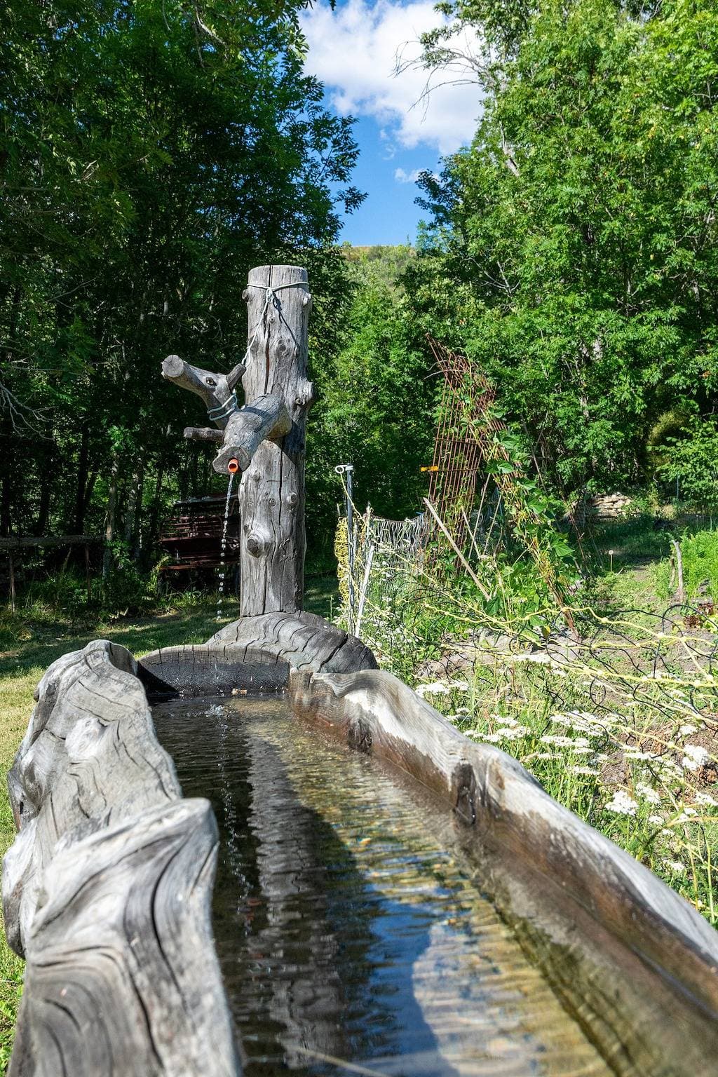 Foto 12 von 13: Gîte La Petite Cascade - Haut Verdon Val d'Allos