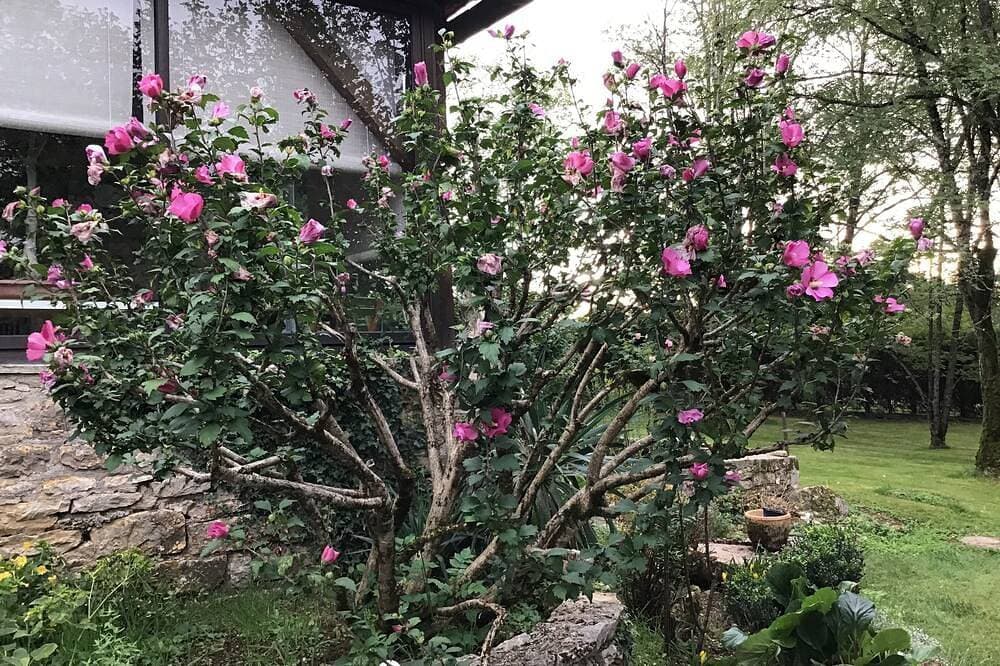 Foto 11 von 30: Mieten Sie dieses charmante möblierte Studio in der Nähe von Rocamadour und Padirac