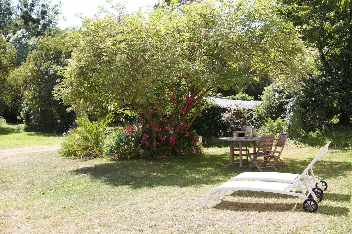 Foto 12 von 26: Ferienwohnung 'Prat Bras - T1 - Bord De Mer' mit Gemeinschaftsgarten und Wi-Fi