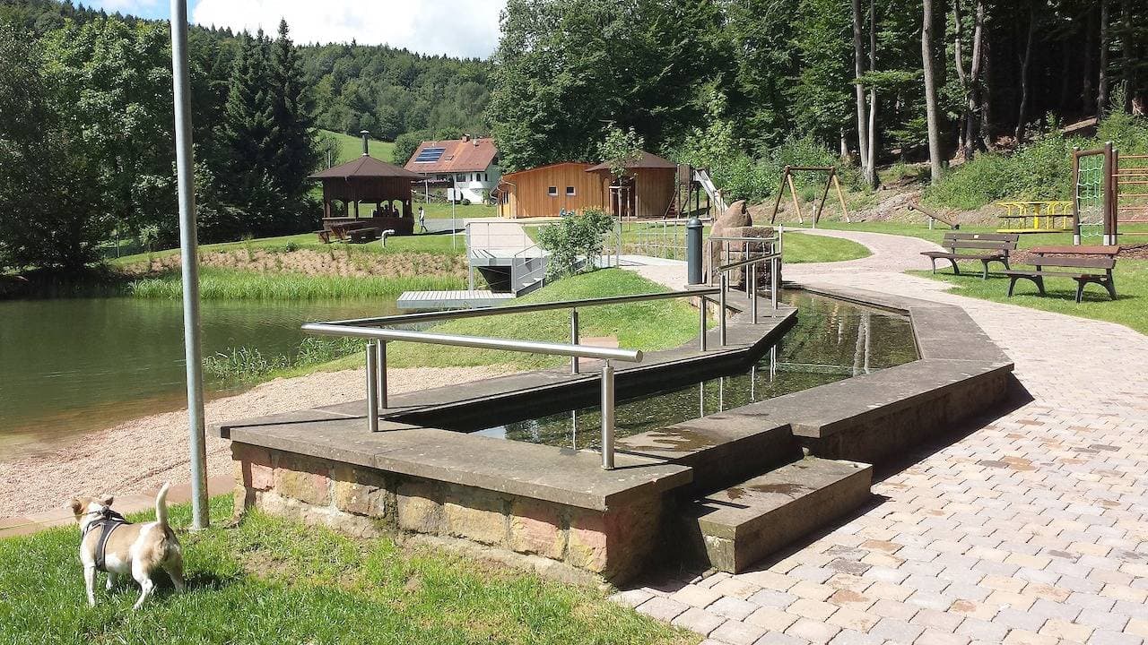 Foto 8 von 39: Pension Gästehaus Cornelia - Doppelzimmer 3 mit Terrasse und Ausblick ins Grüne