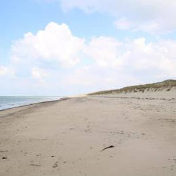 Foto 13 von 14: Ferienhaus am Strand mit Parkplatz, TV, Garten und Internet