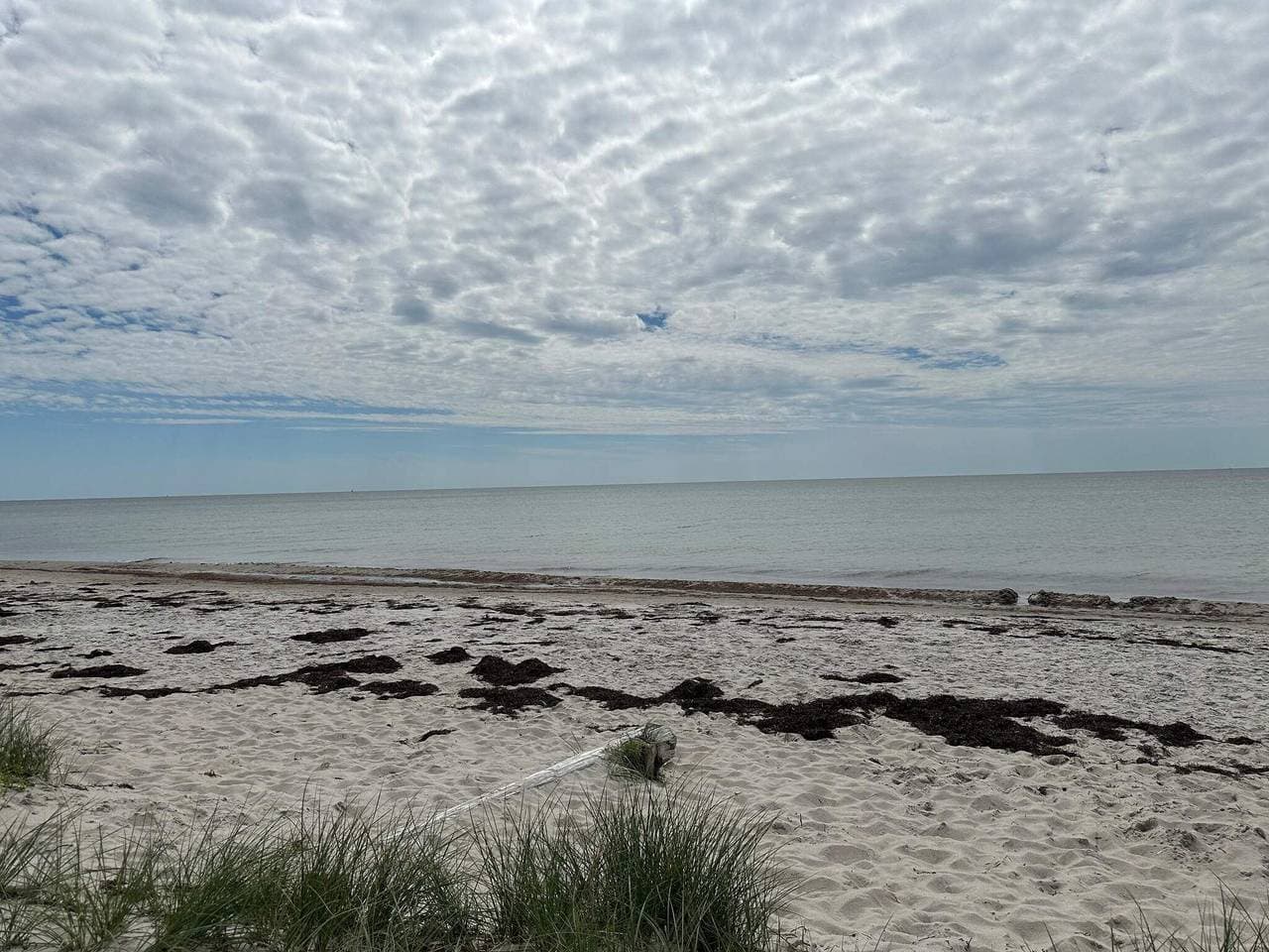 Foto 11 von 41: Helles Strandhaus