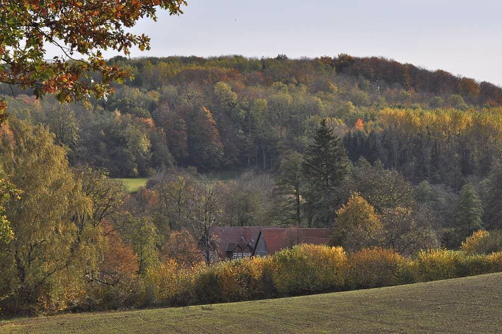 Romantisch gelegene, historische Wassermühle im Silberbachtal 1