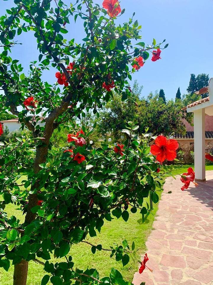 Foto 6 von 42: Holiday Home
