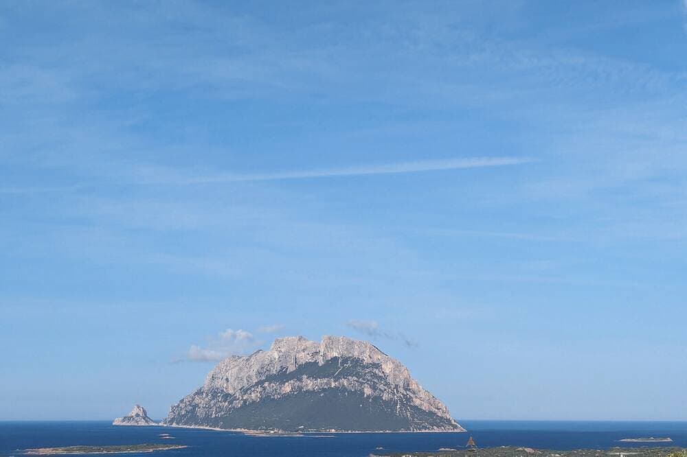 Foto 11 von 13: Casa Singola Immersa nel Verde con Vista Mare
