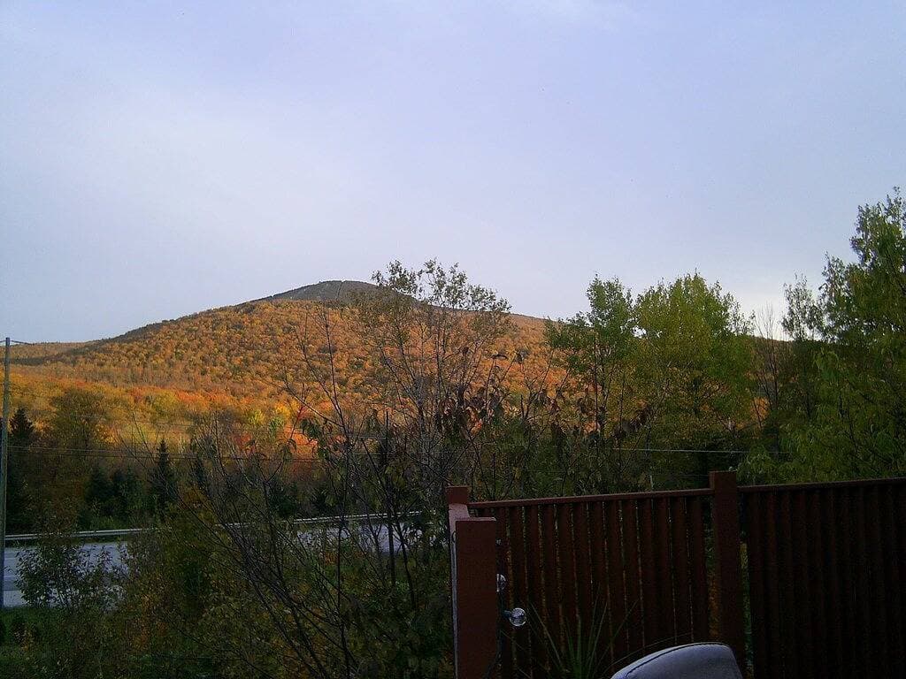 Killington / Rutland 2 bedroom Cabin, Cabin #2 1