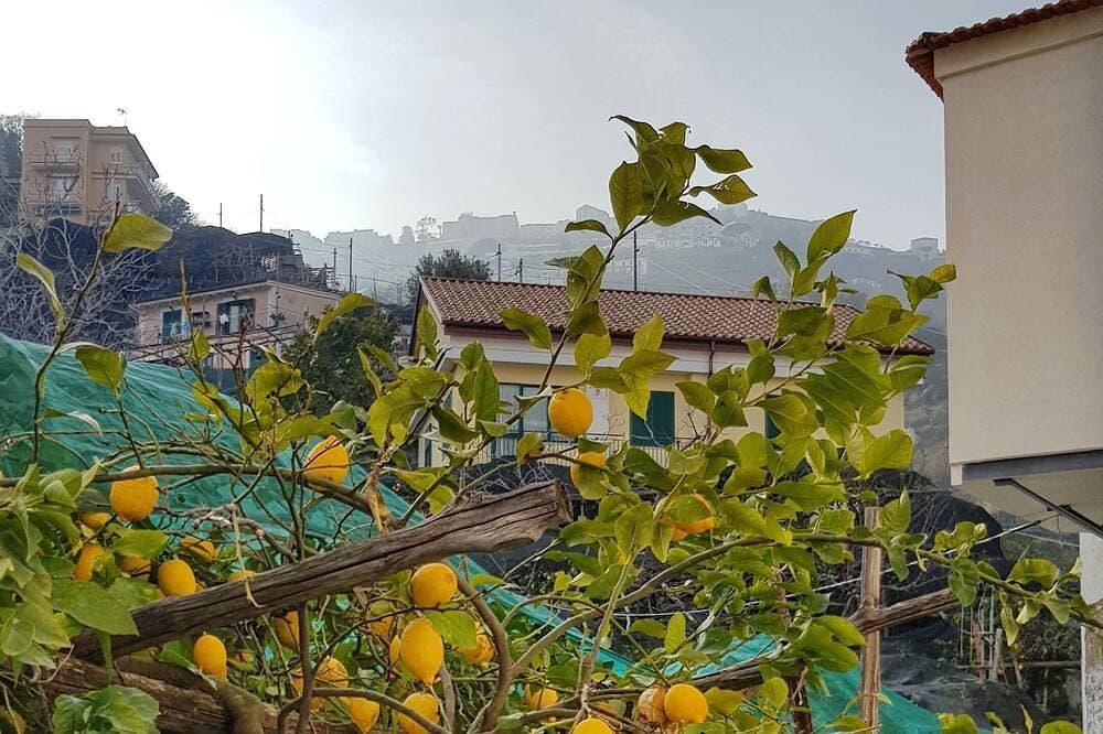 Foto 7 von 30: Limoneto di Lulù, Urlaub unter den Zitronen!
