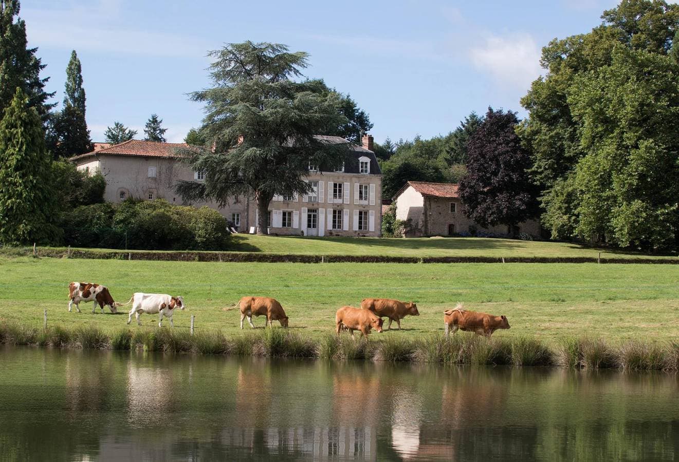 Le Masbareau 1