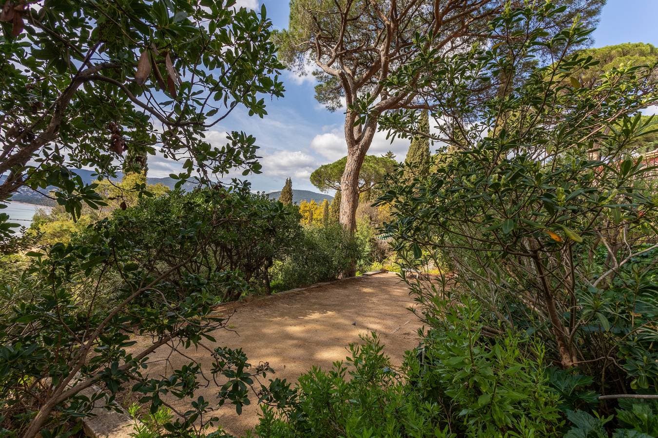 Foto 5 von 24: Zimmer 'Bagaud' mit Meerblick, gemeinsamer Terrasse und WLAN