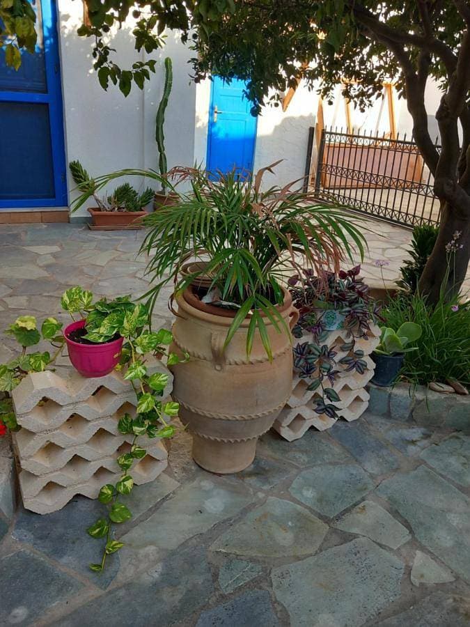 Meli Mika houses 1
