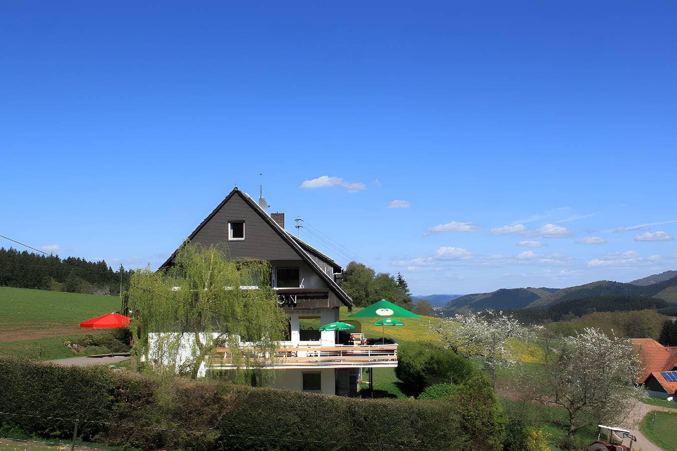 Café Pension Pfaus Heidburg 1
