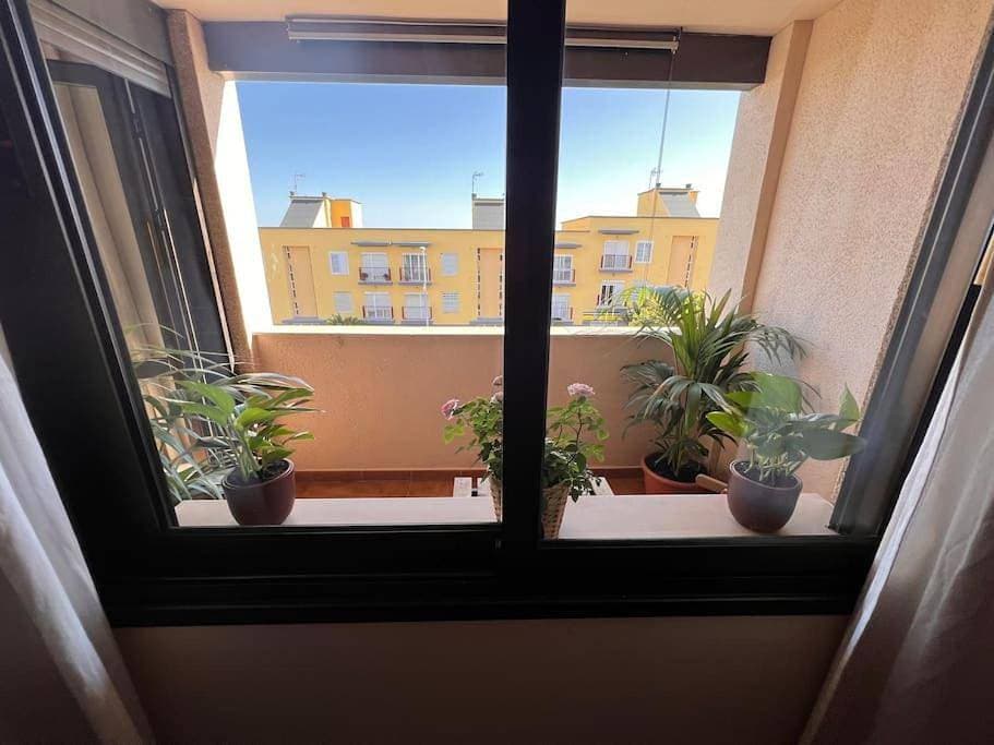 Foto 4 von 14: Acogedor Departamento en Santa Cruz de Tenerife