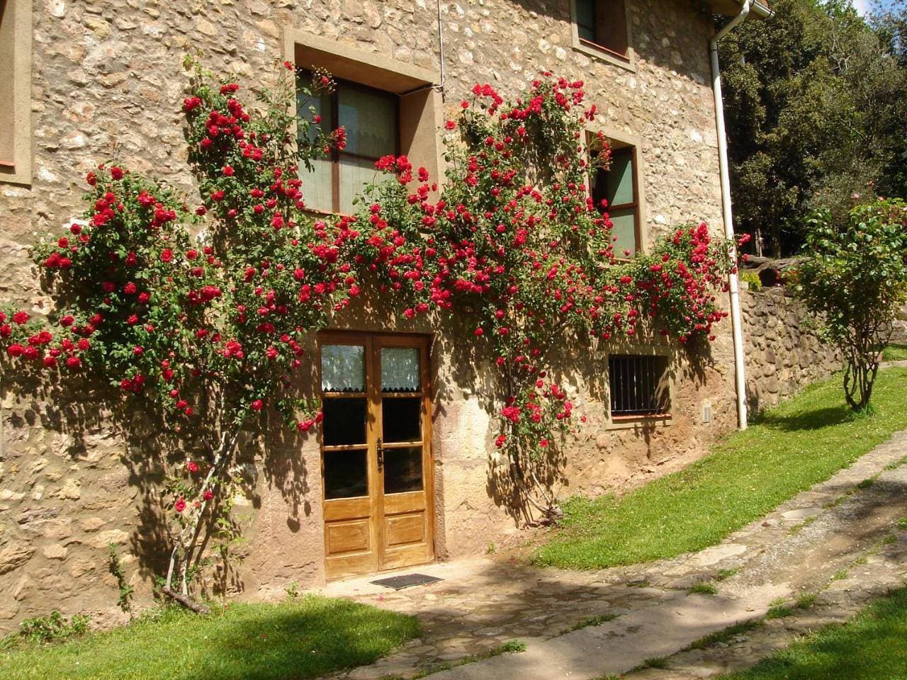 Foto 8 von 32: Holiday Home