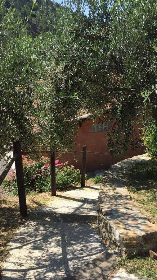 Foto 4 von 8: Double Room with Garden View