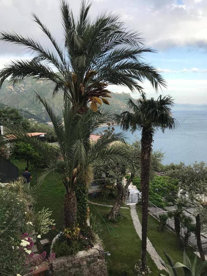Foto 8 von 23: Double or Twin Room with Sea View and Terrace