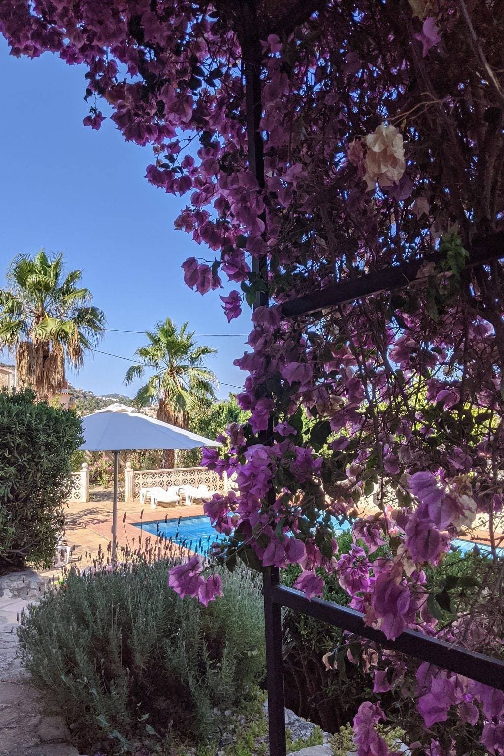 Foto 7 von 35: Mit privatem Pool und Meerblick