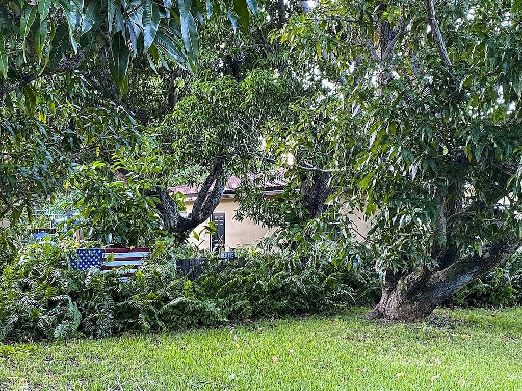 Foto 5 von 36: Spacious & refreshing, The Mango Cottage: Near the beach & all things S. Fl!