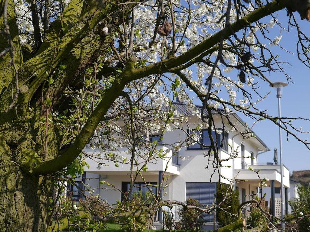 Foto 3 von 32: Frühburgunder im Ferienhaus Lehmättle