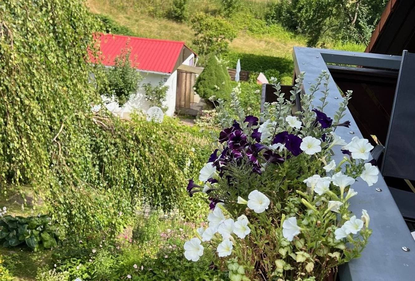 Foto 9 von 11: Ferienwohnung Stockrose - ganz nah am Nationalpark Jasmund