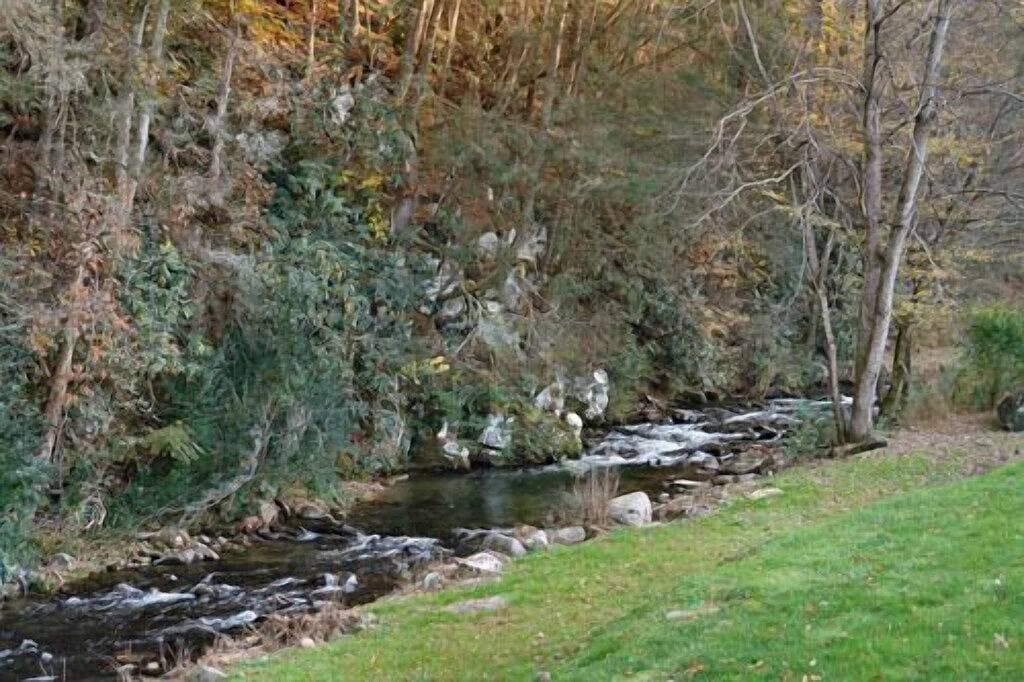 Foto 8 von 16: Cozy Creek: Cozy Cabin with Large Deck Overlooking Mountain Stream