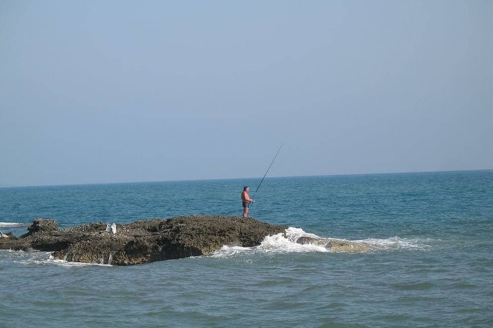 Foto 8 von 13: Mini Villa direct access to the sea 150 m, Courtyard, WIFI, Parking, closed garage