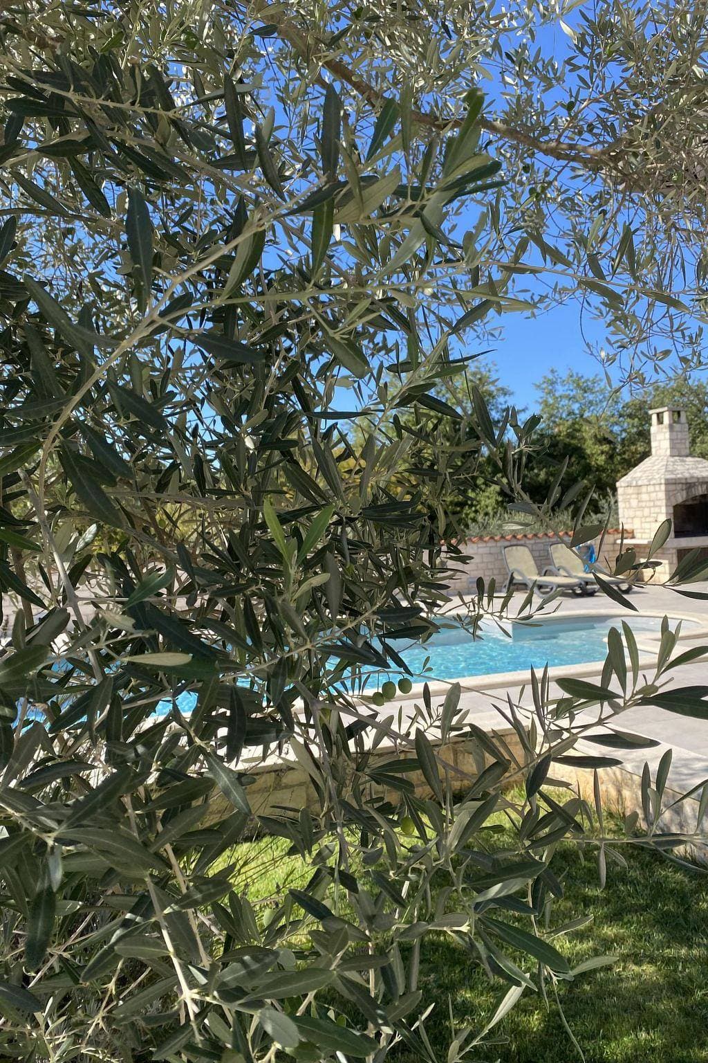 Foto 11 von 27: Villa Mali Raj