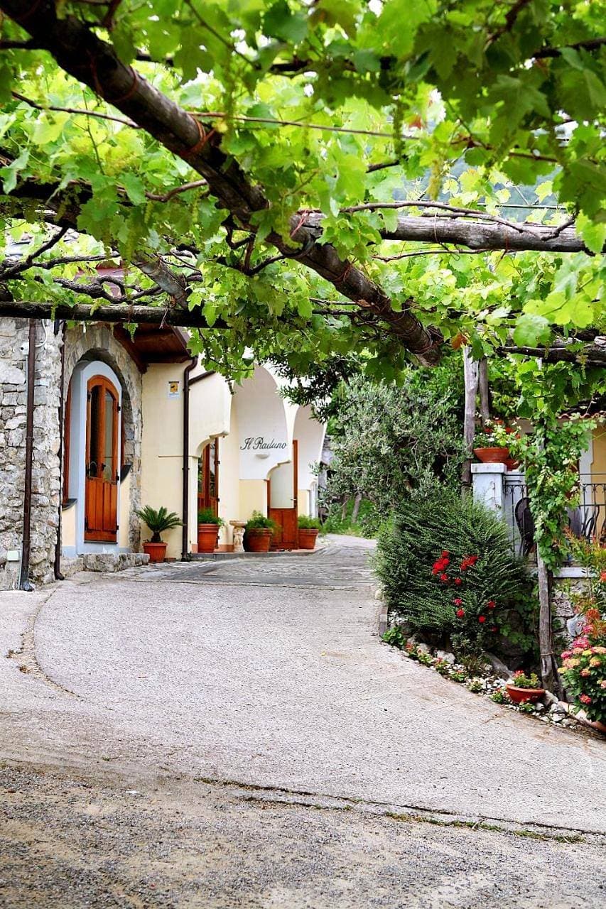 Il Raduno 1