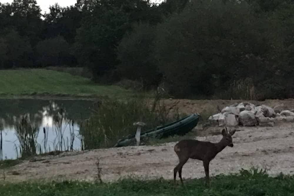 Die Adresse dieses Hauses ist falsch; Es befindet sich in Jouy le Potier 1