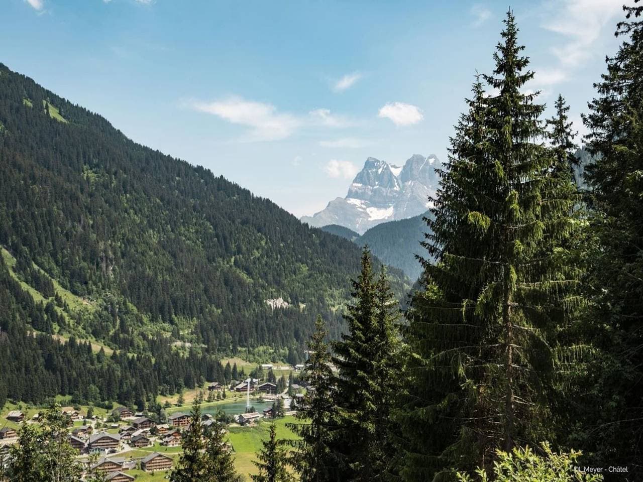 Wohnung in der Nähe des Skigebiets in Chatel 1