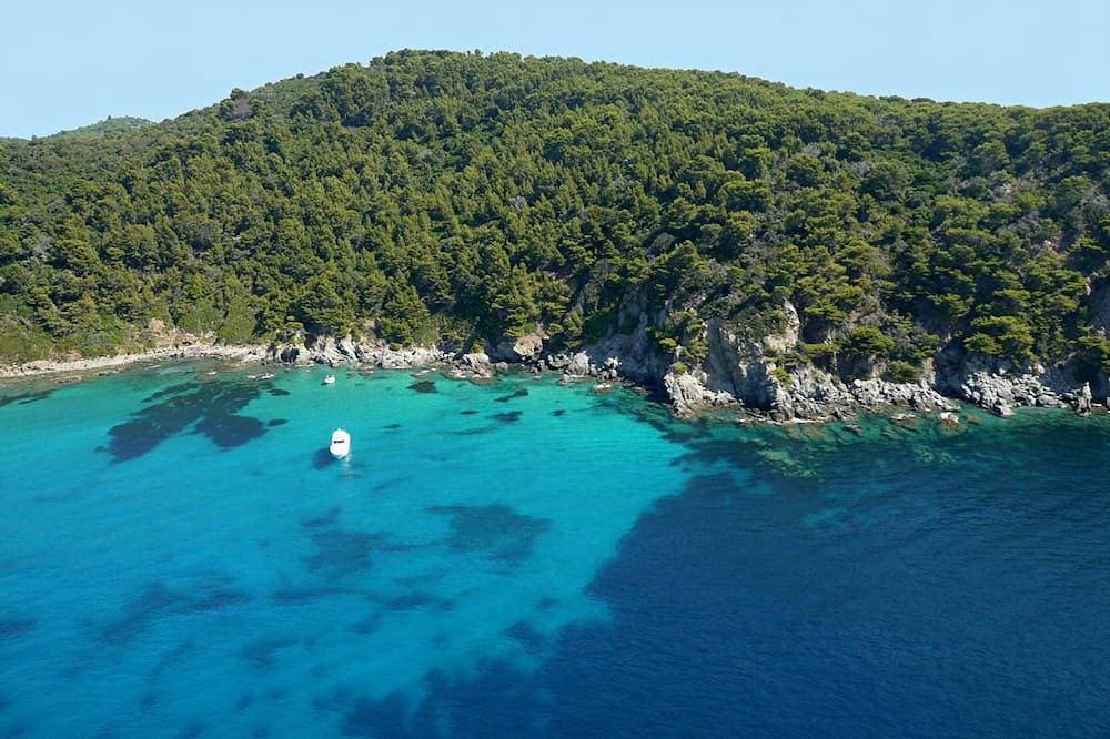 Foto 10 von 13: Große Wohnung Studio Croix Valmer - 2 Minuten vom Gigaro Strand - In der Nähe von Saint Tropez