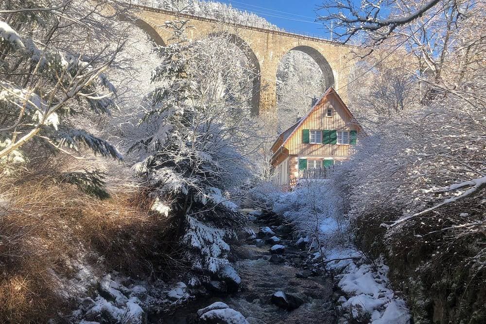 Ravenna Lodge - Schwarzwaldhaus an der Ravennaschlucht 1