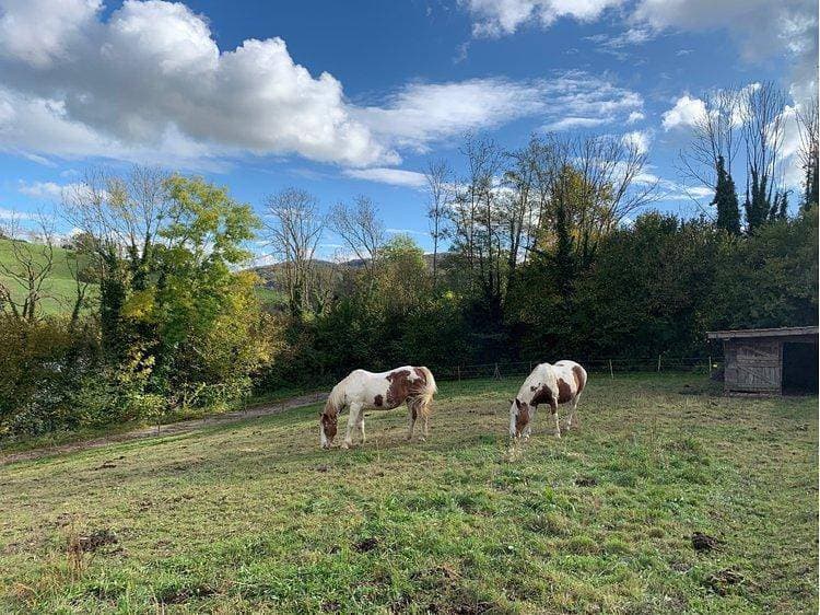 Foto 11 von 14: Les Moulins du Rafour