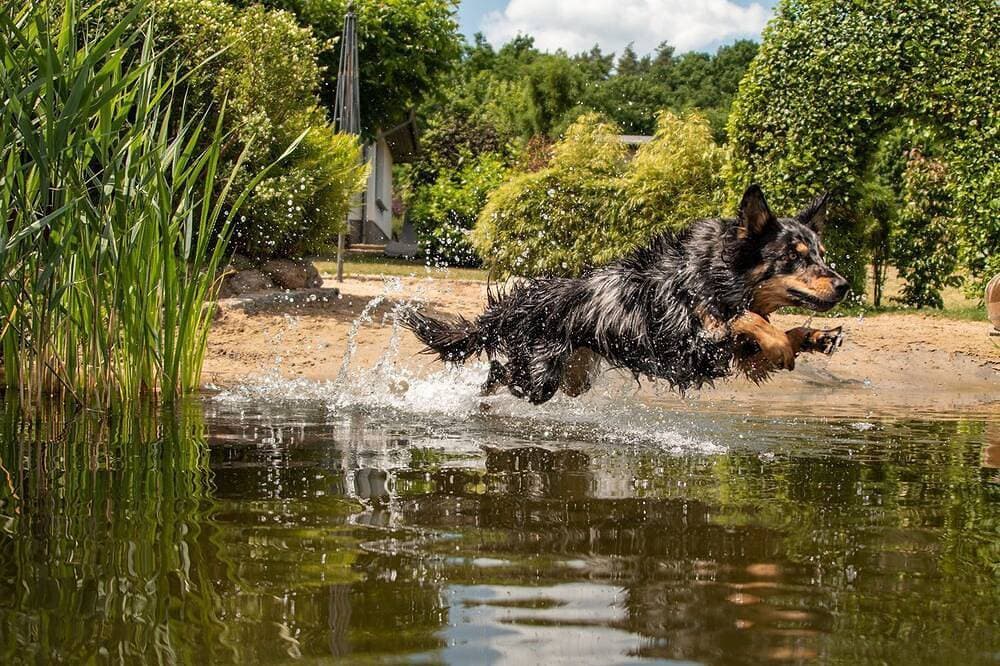 Foto 13 von 30: Traum Ferienhaus am Schweriner See ✓ Urlaub mit Hund & angeln am Privatstrand ✓