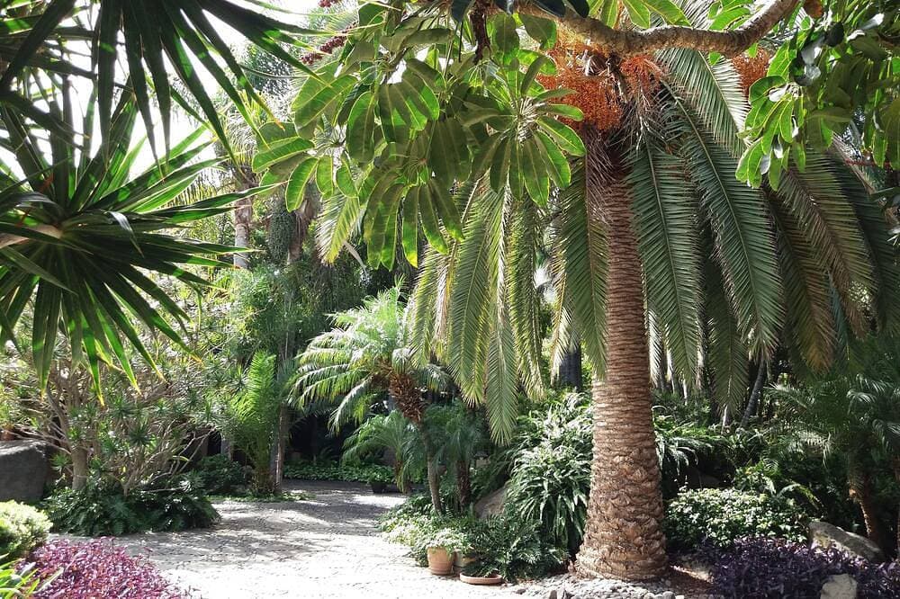 Foto 6 von 30: 10.000 m2 tropischer, ruhiger Garten in der Nähe des Meeres, Glasfaser-WLAN