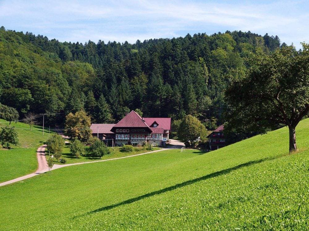 Foto 4 von 28: Vogtbenedikthof - Roßstall